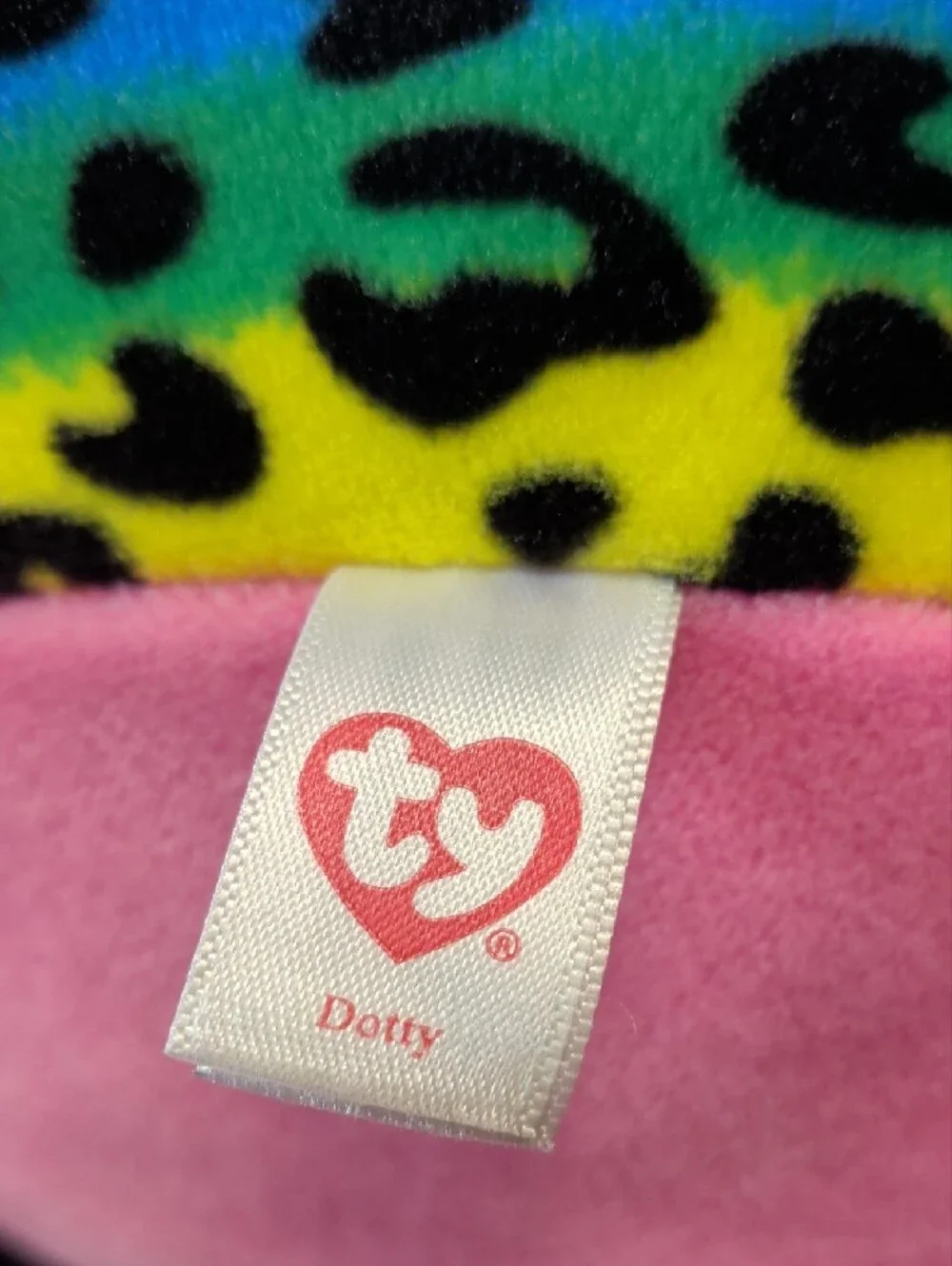 Ty 